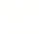 Footer Fvm Logo